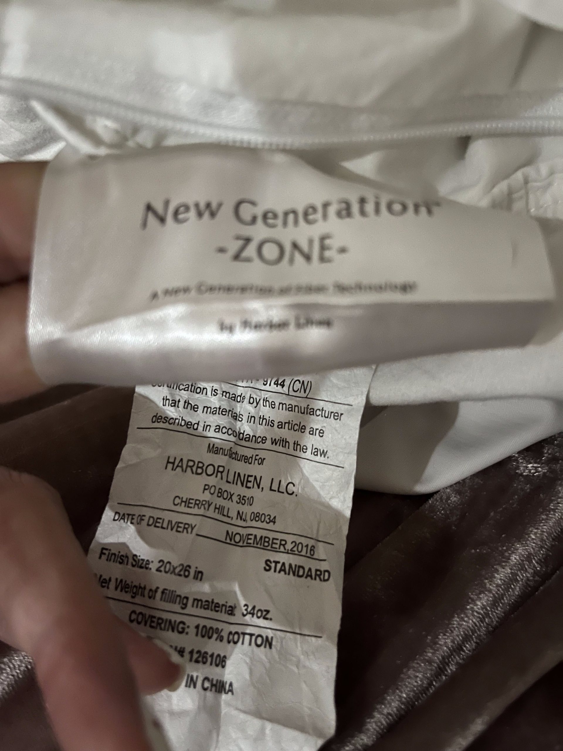 New Generation Zone (2pack) Pillow by Harbor Linen/TY Group