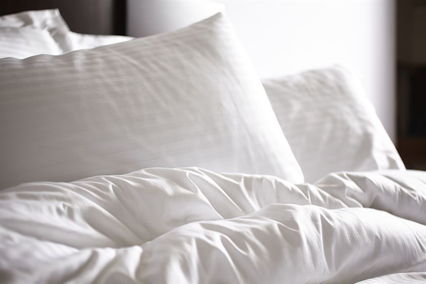 2-Pack Cotton Stripe Plush Bed Pillows